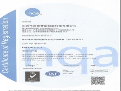 ISO13485 Chinese
